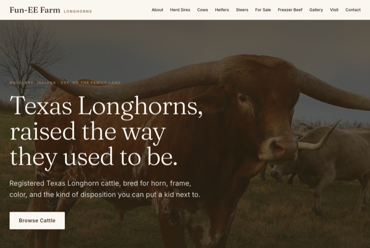 Fun-EE Farm Longhorns site preview